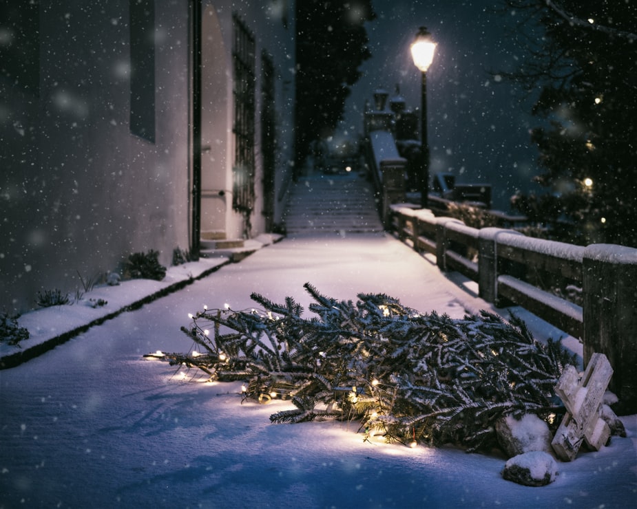 Γηρυόνης τώρα: Η κακοκαιρία έφερε το πρώτο χιόνι στον Παρνασσό