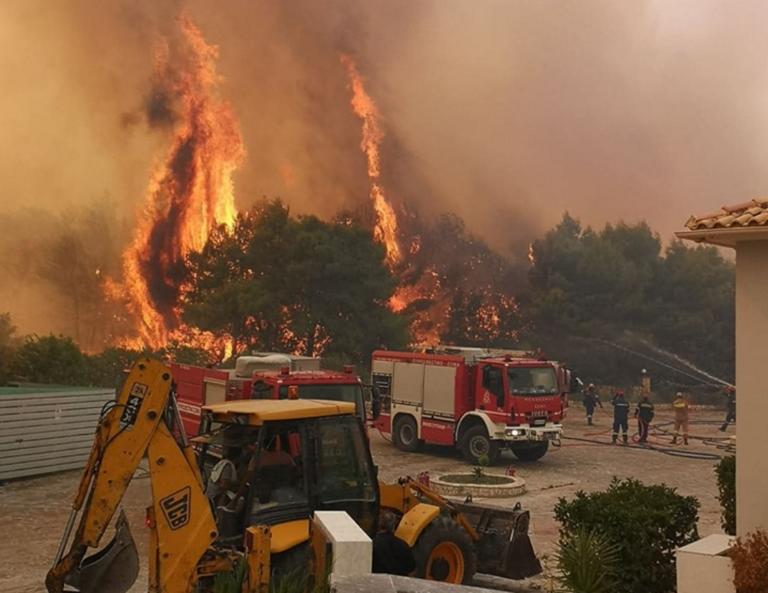 Ζάκυνθος φωτιές: Από τις μεγαλύτερες οικολογικές καταστροφές