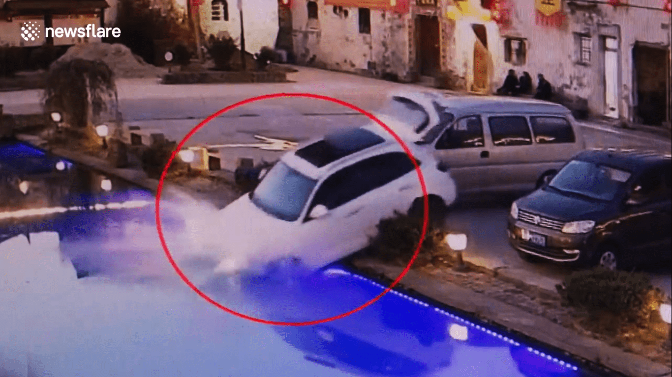 Σκύλος viral video: Οδηγεί αυτοκίνητο και το ρίχνει στην πισίνα – Τρελό περιστατικό στην Κίνα