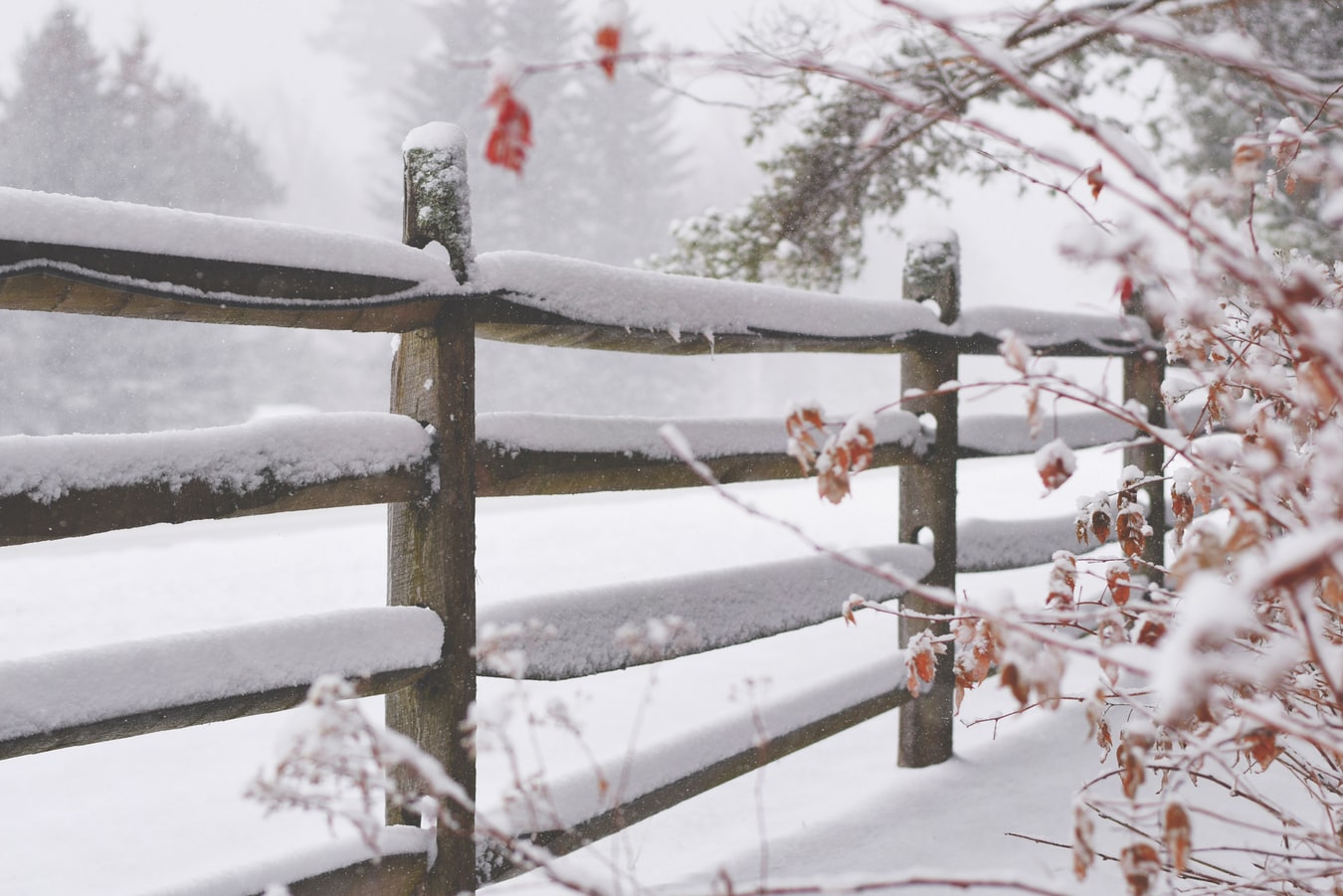 Χιόνια Χαλκιδική 2019: Το έστρωσε στην Αρναία, πανέμορφο χειμωνιάτικο σκηνικό