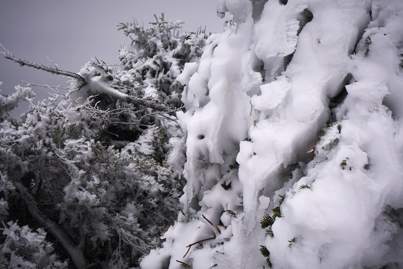 Ζηνοβία κακοκαιρία: Έπεσαν τα πρώτα χιόνια στην Πάρνηθα
