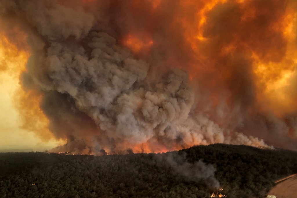 Αυστραλία φωτιές: Οι πυρκαγιές έχουν αφανίσει σχεδόν μισό δισ. ζώα και φυτά