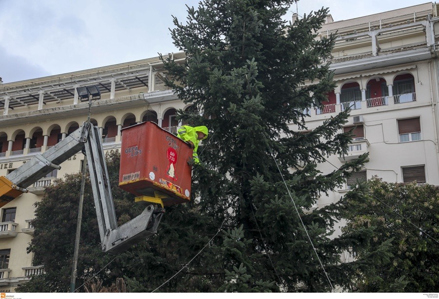 Ανακύκλωση χριστουγεννιάτικων δέντρων: Συγκέντρωση ελάτων στην Θεσσαλονίκη