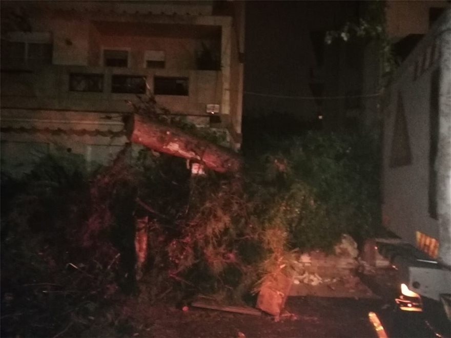 Δέντρο έπεσε σε αυτοκίνητο: Απρόσμενο περιστατικό στο Ηράκλειο Κρήτης