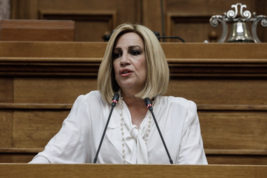 Έβρος σύνορα: Η Γεννηματά για τις εξελίξεις στο μεταναστευτικό