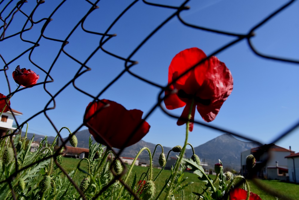 Καιρός σήμερα Δευτέρα: Η πρόγνωση της ΕΜΥ