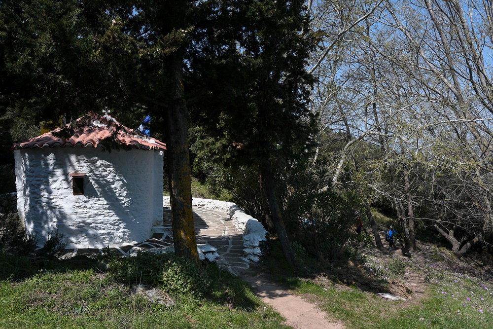 Νεκροί Ελλάδα – κορονοϊός: Στα 100 τα θύματα, μειώθηκαν τα κρούσματα