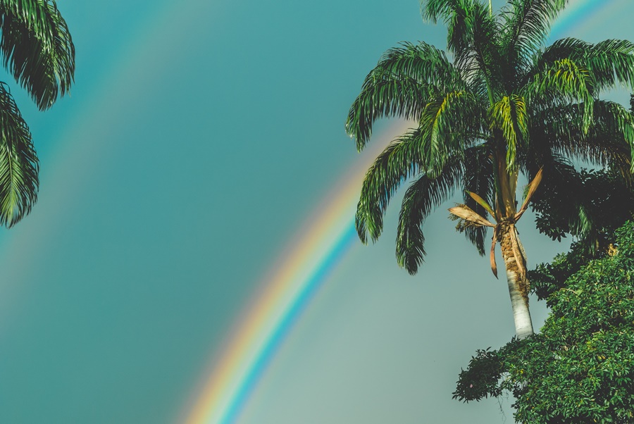 Οριζόντιο ουράνιο τόξο: Το σπάνιο ”fire rainbow” που έγινε viral