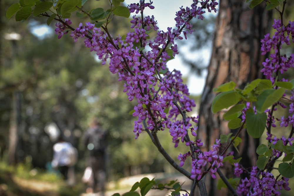 Καιρός σήμερα Σάββατο 23/5: Η πρόγνωση της ΕΜΥ