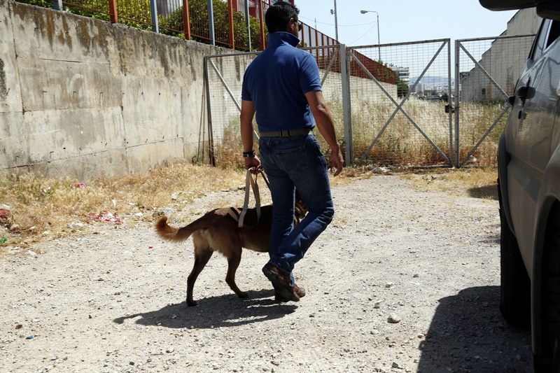 Σκύλος – ναρκωτικά: Ο “Ρίκι” ξετρύπωσε ηρωίνη από φορτηγό