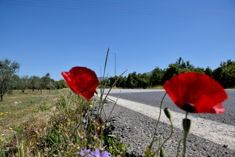 Περιβάλλον: Ο καιρός μας βοήθησε με τον κορονοϊό