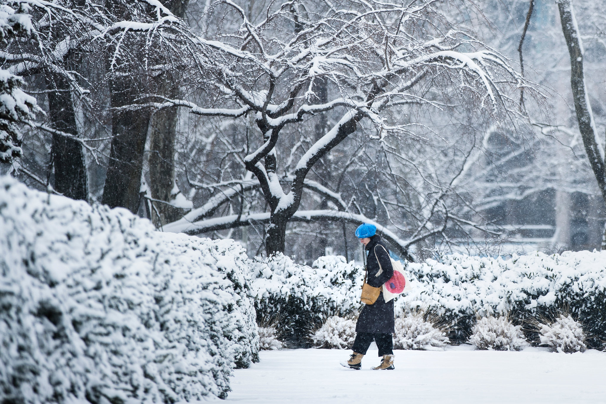 Χιόνια στη Νέα Υόρκη: Ο χειμώνας επέστρεψε στην Ανατολική Ακτή