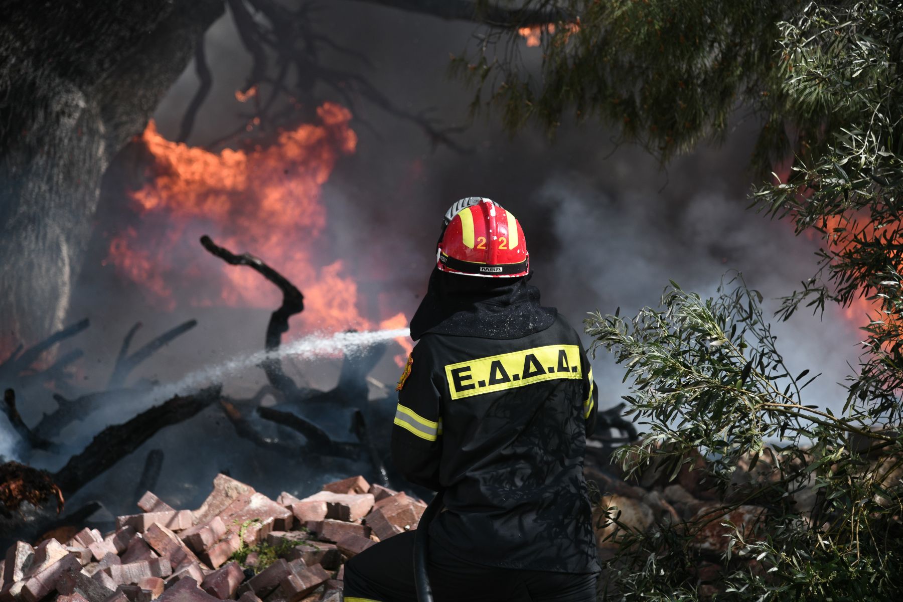 Φωτιά Μαρτίνο τώρα: Οι φλόγες πέρασαν την Εθνική Οδό Αθηνών – Λαμίας