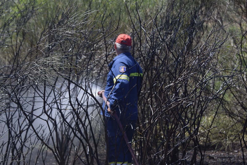 Φωτιά στην Κάρυστο τώρα: Μεγάλη πυρκαγιά έχει ξεσπάσει στην περιοχή του Κατσαρώνι