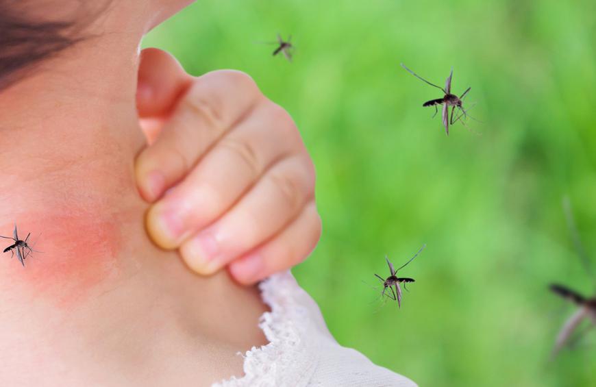 Κουνούπια τσίμπημα φαγούρα: Ένα απίστευτο κόλπο