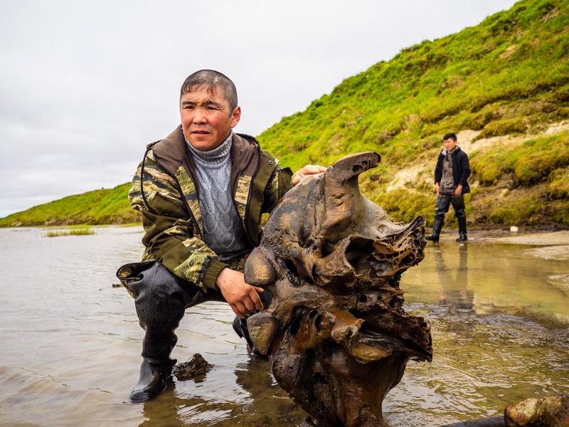 Σιβηρία: Το λιώσιμο των πάγων φέρνει στο φως λείψανα προϊστορικών ζώων