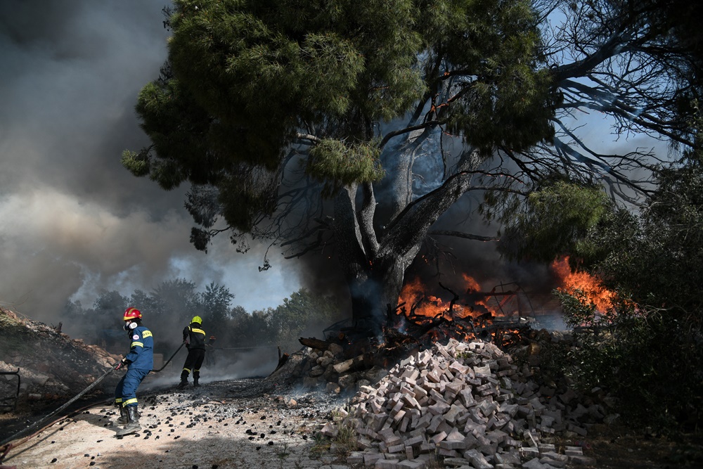 Φωτιές Κρήτη τώρα: “Καίγονται” Κάρυστος, Κνωσός – Απειλούνται σπίτια