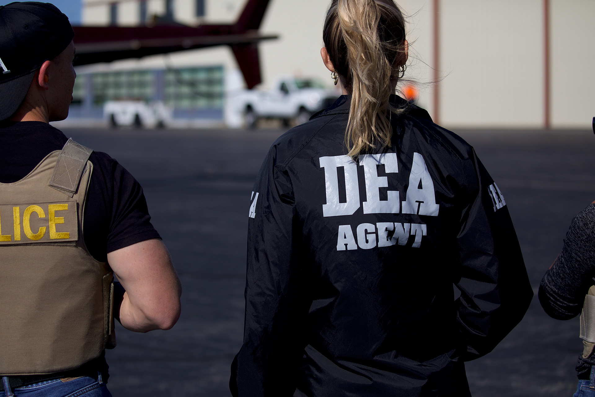 Κύκλωμα καλλιέργειας κάνναβης: Η DEA στην επιχείρηση – Ξερίζωμα δενδρυλλίων, συλλήψεις