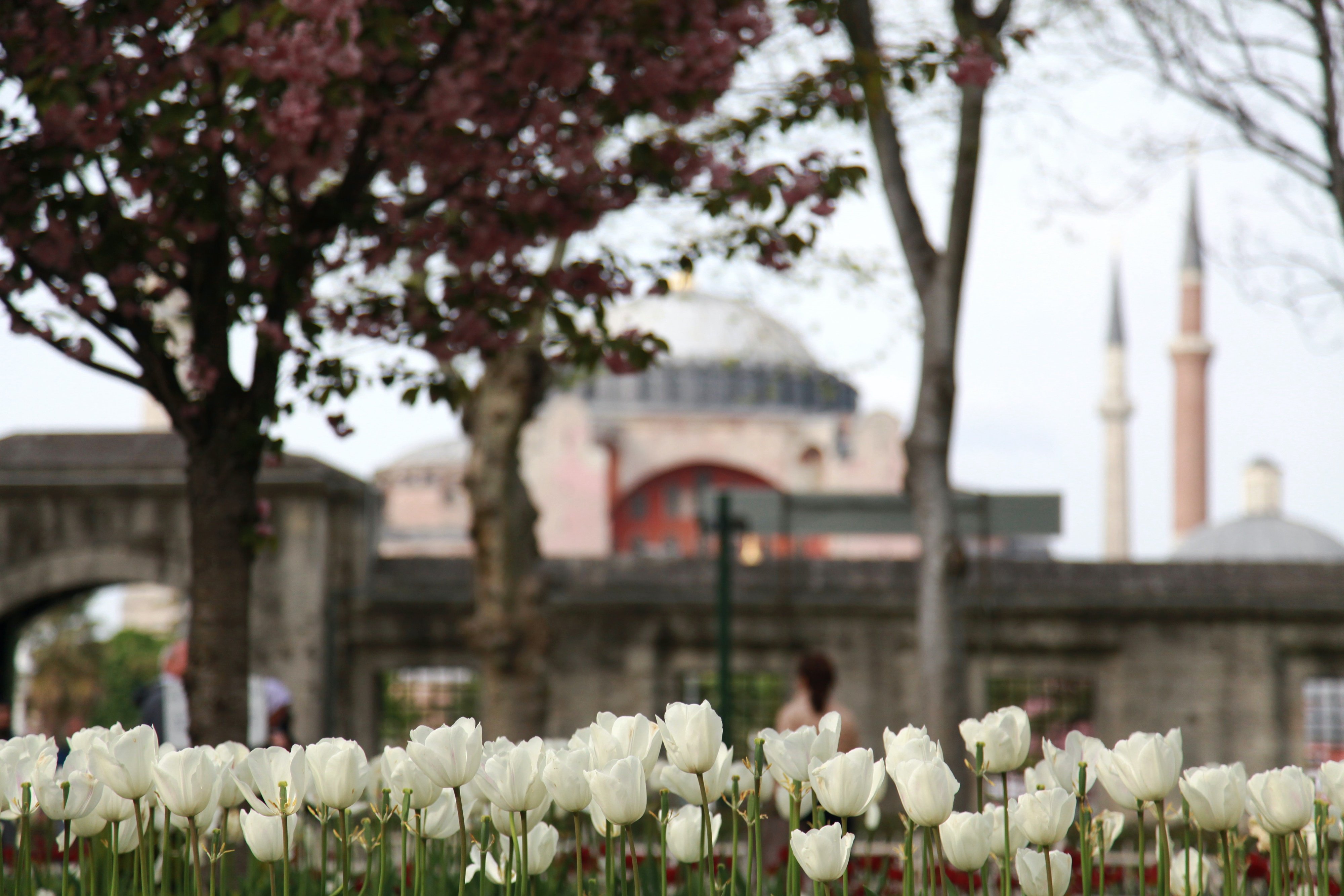 Αγιά Σοφιά – τζαμί: Ερντογάν μαινόμενος