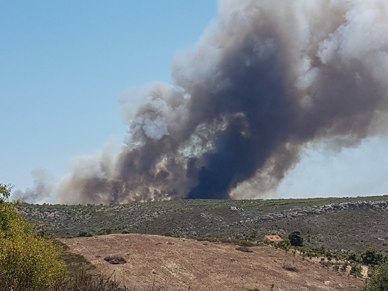 Φωτιά τώρα Λαύριο: Μεγάλη πυρκαγιά σε εξέλιξη στην περιοχή Πούντα Ζέζα