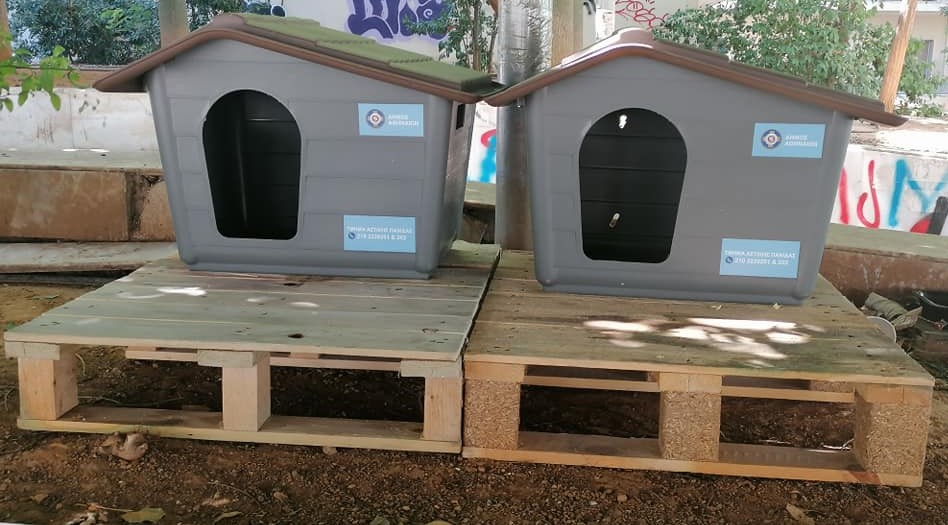 Δήμος Αθηναίων: Νέο πρόγραμμα τοποθέτησης μικρών σπιτιών για γάτες
