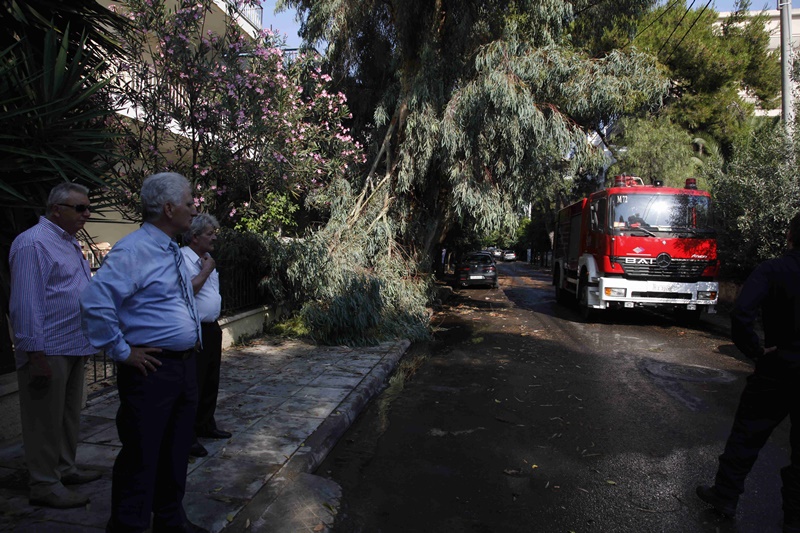 Πτώση δέντρου Χαλάνδρι: Πεζός τραυματίστηκε στο κεφάλι
