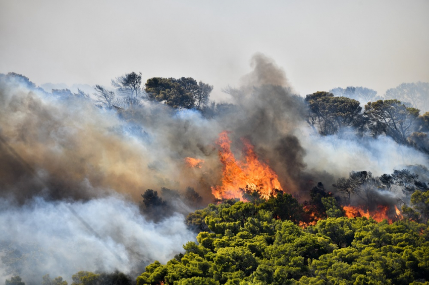 Ανάβυσσος φωτιά τώρα: Έκτακτη σύσκεψη για την εξέλιξη της πυρκαγιάς