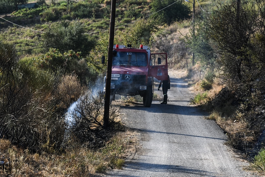 Φωτιά στη Χαλκιδική: Επί τόπου ισχυρές πυροσβεστικές δυνάμεις