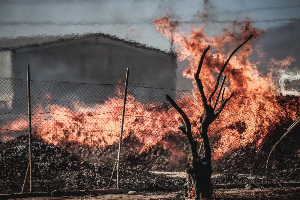 Φωτιά στον Έβρο τώρα: Καίγονται δασικές εκτάσεις στον δρυμό της Δαδιάς