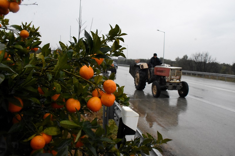 ΟΠΕΚΕΠΕ αγρότες πληρωμή: Πότε θα γίνει η καταβολή