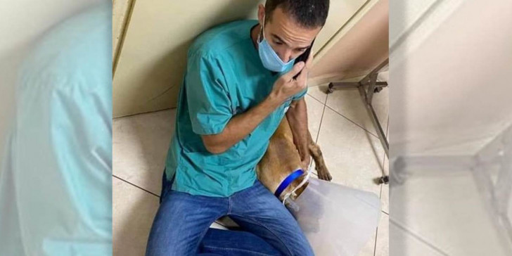 Σκύλος Χανιά – κακοποίηση: Εμφανίστηκε στις Αρχές ο 55χρονος