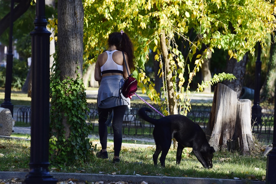 Βόλτα με σκύλο κορονοϊός: Νέα έρευνα ανατρέπει όσα ξέραμε