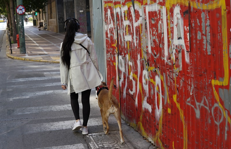 Ελληνική αστυνομία – ζώα: Αποκτά πρόσβαση στη βάση δεδομένων