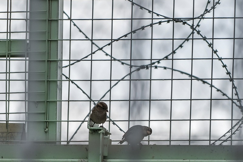Κρούσματα κορονοϊός: «Συναγερμός» στις φυλακές Διαβατών