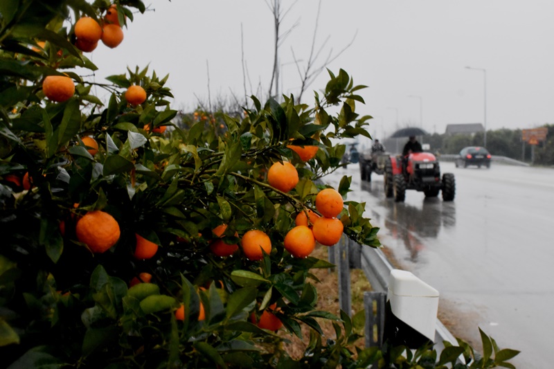 ΕΛΓΑ καταβολή αποζημιώσεων πότε: Στις 24 Δεκεμβρίου στους ανταποκριτές πανελλαδικά