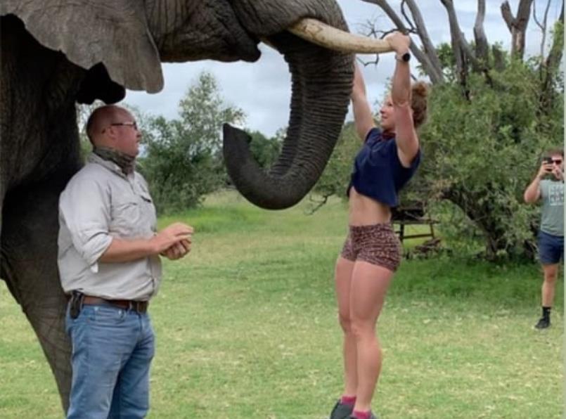 Νότια Αφρική ελέφαντας: Εικόνες που προκάλεσαν οργή