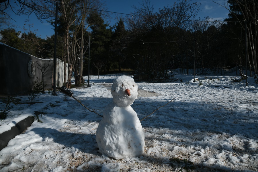 Χιονάνθρωπος 