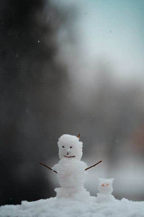 χιονάνθρωπος 