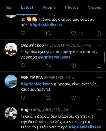 Άγριες Μέλισσες