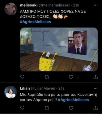 Άγριες Μέλισσες