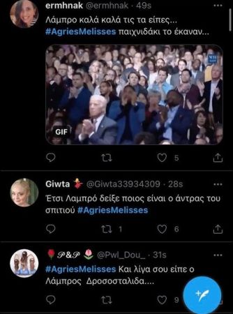 Άγριες Μέλισσες