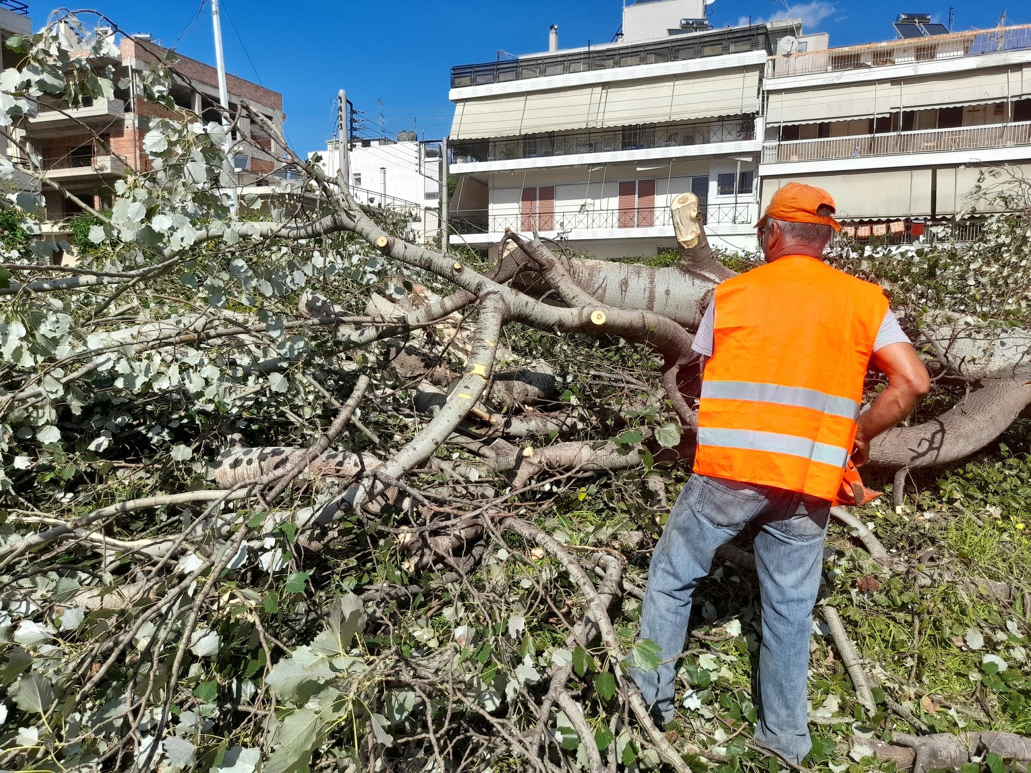 Δήμος Νέας Ιωνίας: Πώς θα αποζημιωθούν οι πληγέντες από τον ανεμοστρόβιλο του Οκτωβρίου