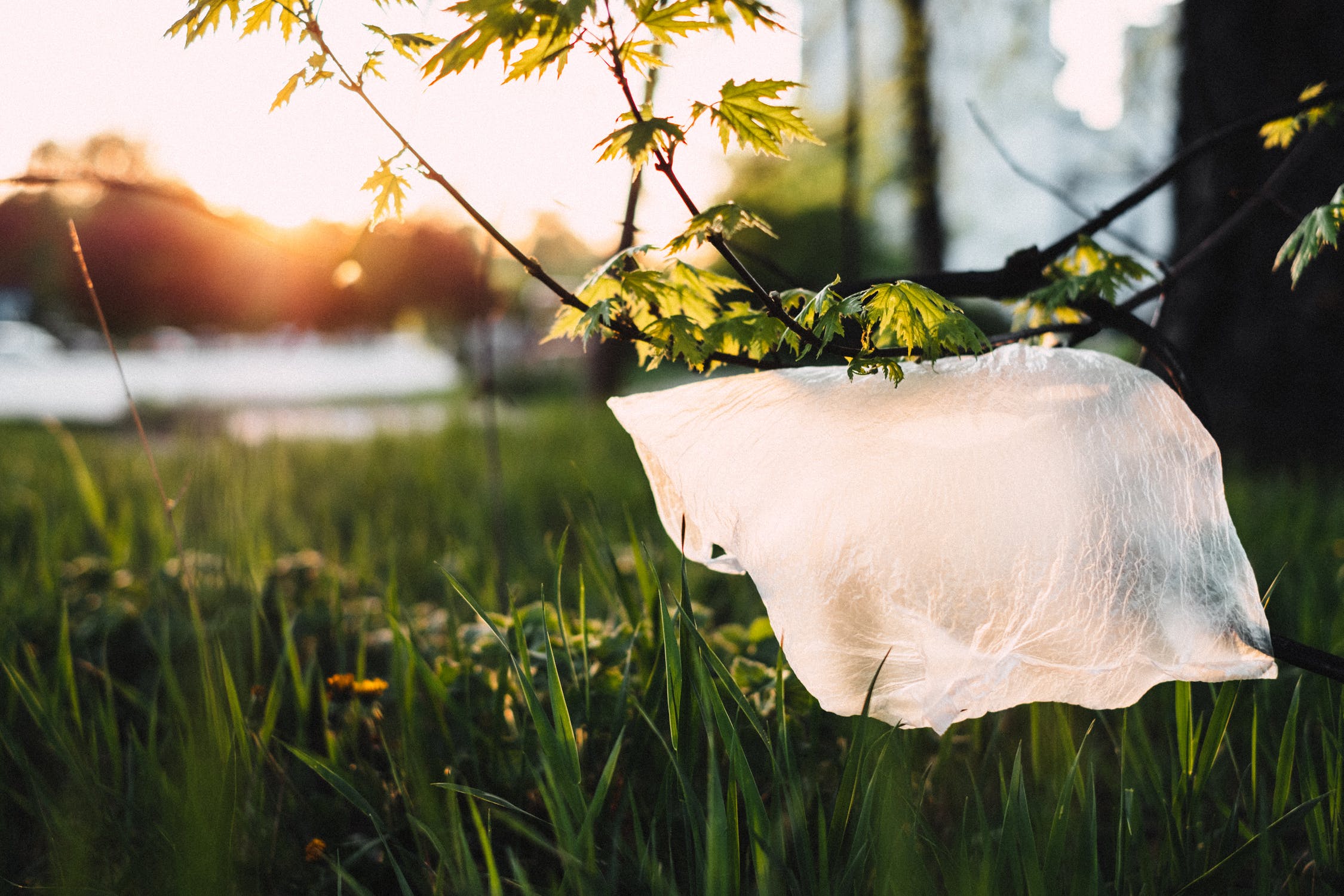 Ανακύκλωση πλαστικού: Επιστήμονες έφτιαξαν υφάσματα από πεταμένες σακούλες