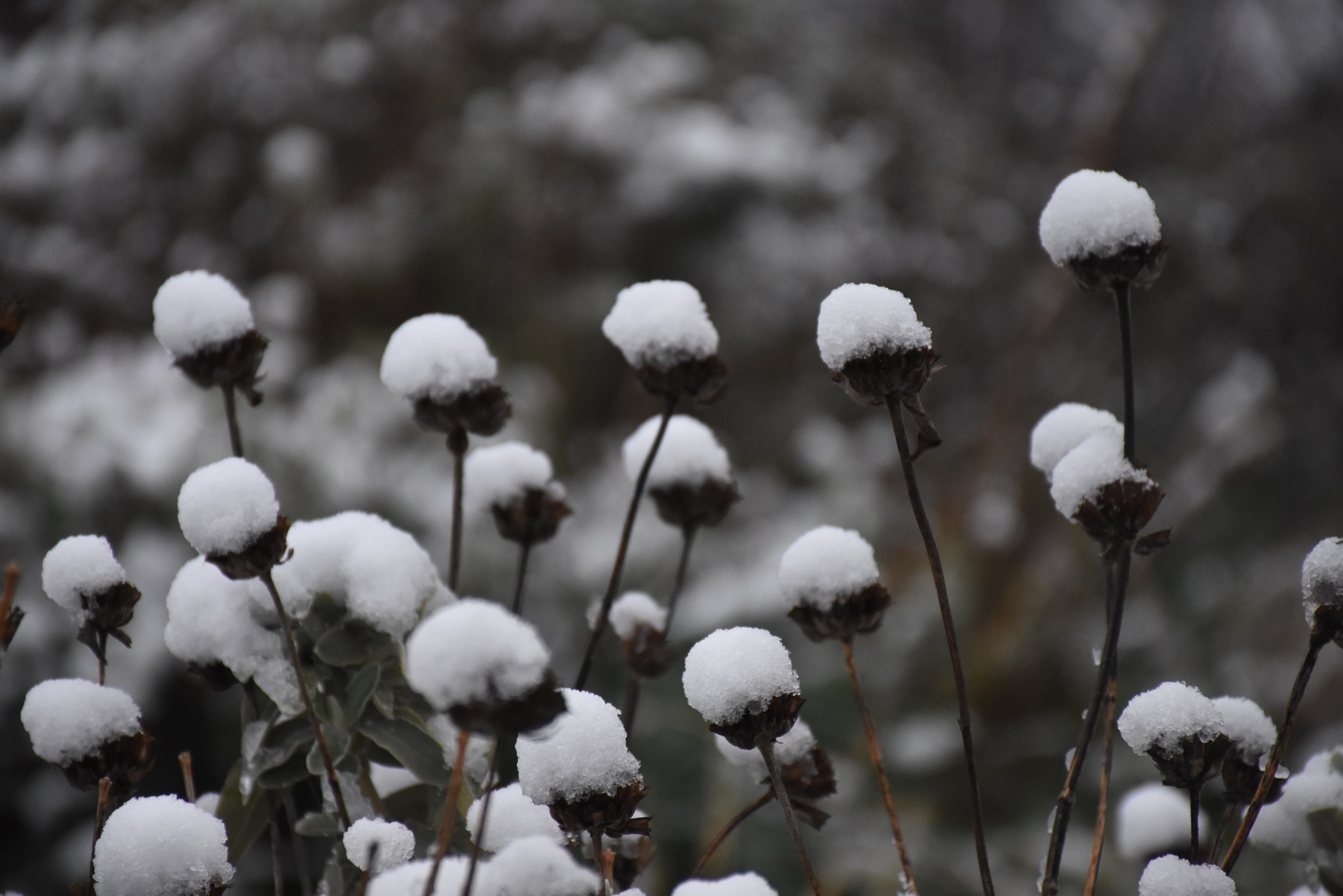 Καιρός Μαρουσάκης – χιονιάς: Πρόβλεψη για χιόνια και στην Αττική