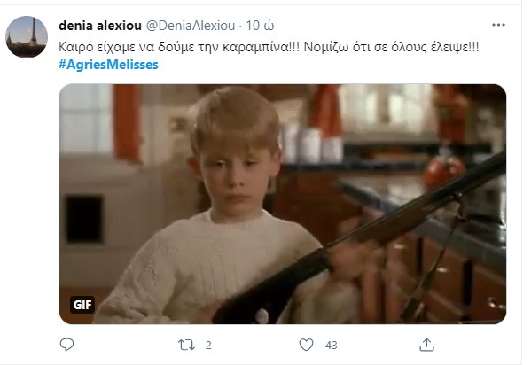 Άγριες Μέλισσες Βόσκαρης