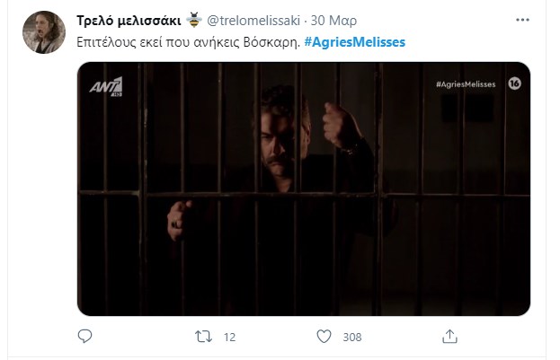 Άγριες Μέλισσες Βόσκαρης