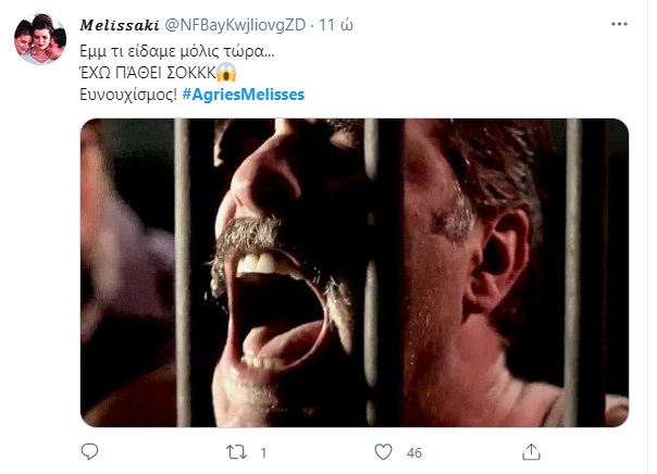 Άγριες Μέλισσες Βόσκαρης