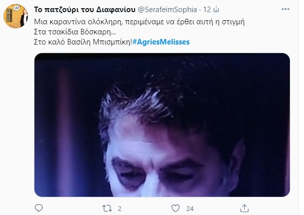 Άγριες Μέλισσες Βόσκαρης