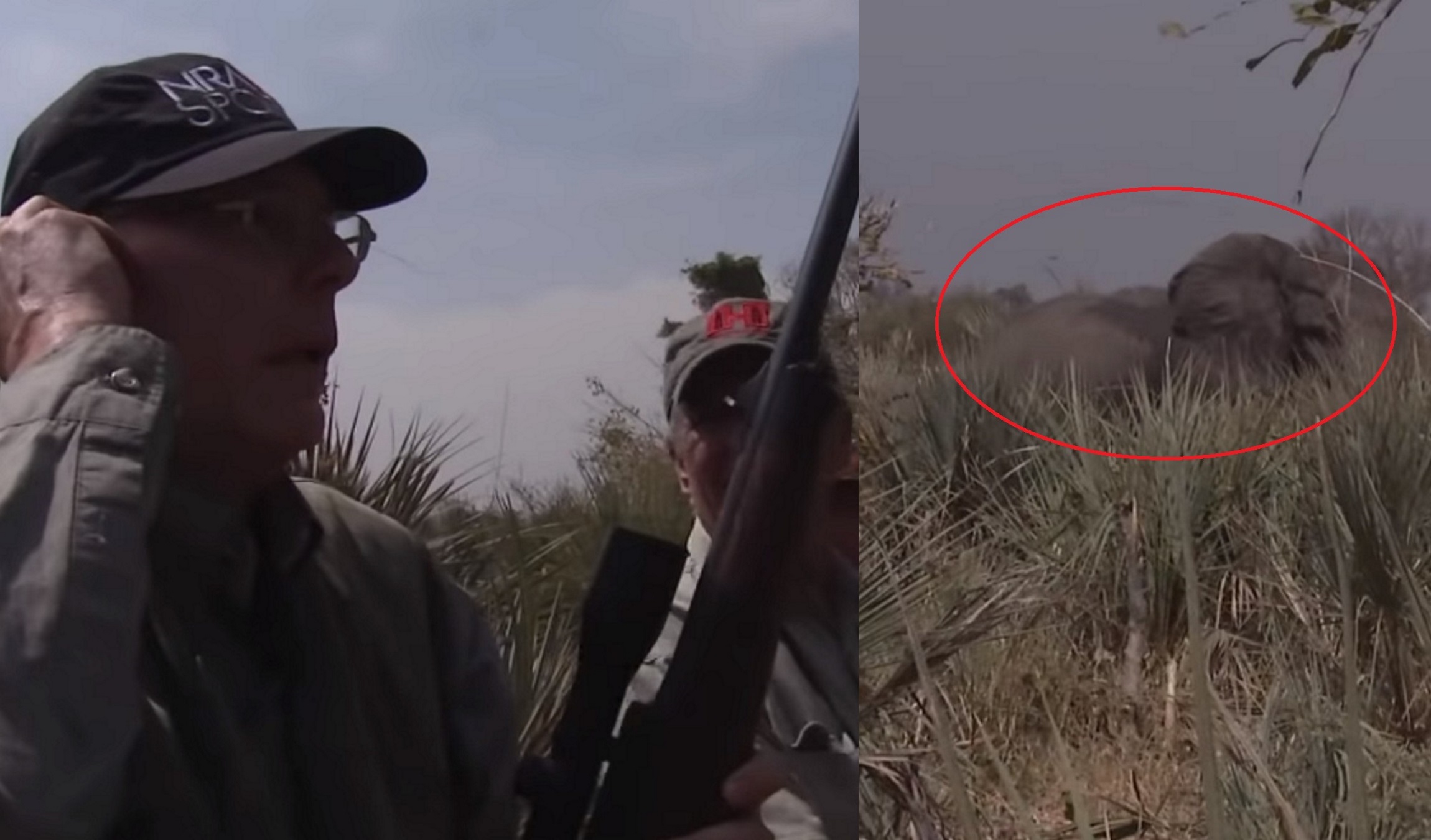 Γουέιν ΛαΠιερ ελέφαντας: Ο επικεφαλής του λόμπι όπλων πυροβολεί και πανηγυρίζει