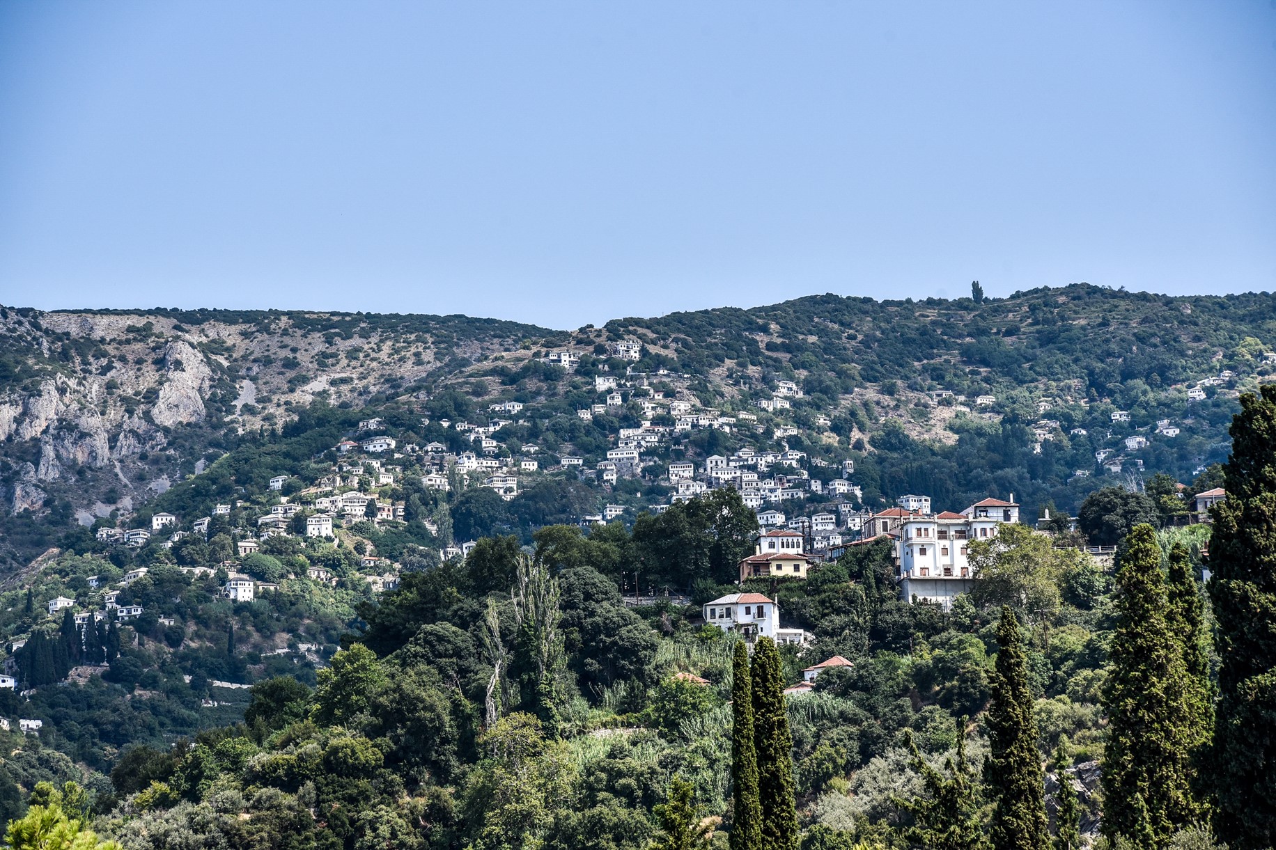 Μακρυνίτσα δολοφονία: Σκότωσε τα δύο αδέρφια μπροστά στη μητέρα τους